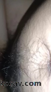 肉便器母猪