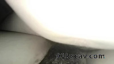 白日放歌