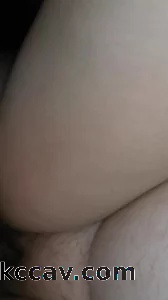 肥肥