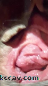 人肉按摩