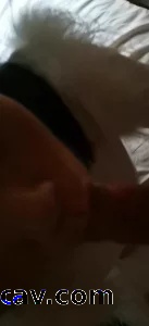 绿王八直接给地址，上他家里玩他老婆