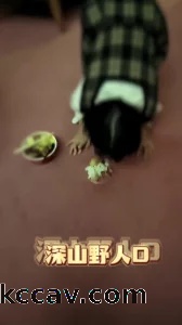 犬化调教与舔脚