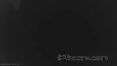 只有声音