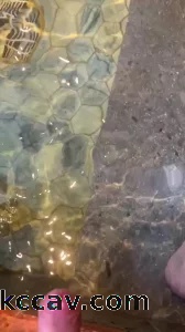 海口有偿单约双约