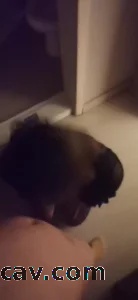 少妇给太原单男口