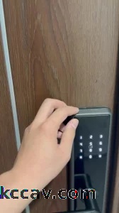 调教母狗