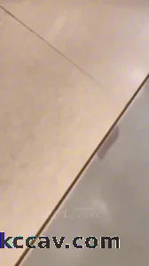 逛着商场骚货学姐想要了