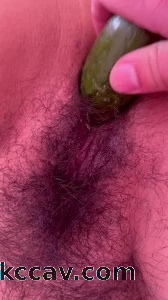 在少妇家用黄瓜插逼