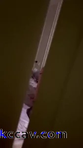 门缝里的激情