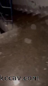 青岛情侣下周去沈阳，找同房不换一起玩