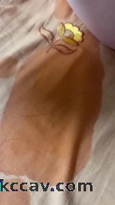 极品鲍鱼分享