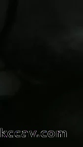 怎么现在都是剧情？一点都不真实！！