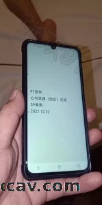 [原创] 河北3p分享