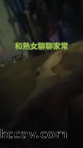 与熟女的合集（纪念版）