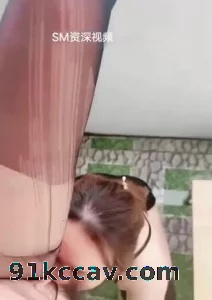 调教母狗