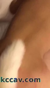 镇江0511一个极品少妇 美滋滋