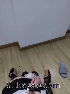 新收的母狗三后续