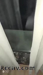 操空姐小母狗