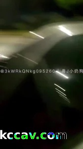 0750-台城公路车震少妇