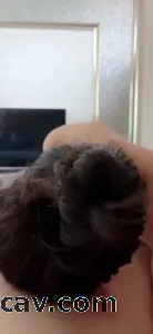 许昌骚货口交