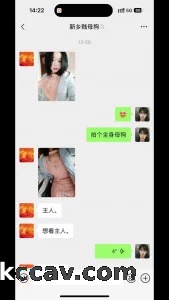 河南新乡母狗调教