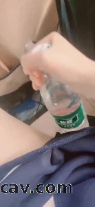 一只可爱的小狗狗