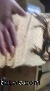 南通崇川少妇11验证申请达人论坛码