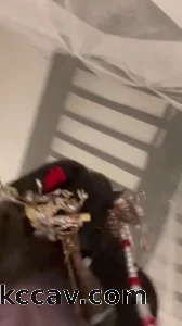 汉服母狗上位都被顶高潮了