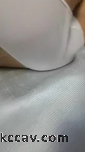 保守老婆的骚屁股