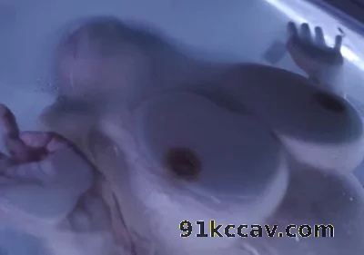 ntr的快乐～酒店浴室后入巨乳