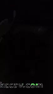 0731下贱母狗