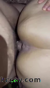 很听话的小猪
