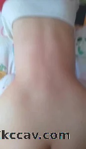 后入大屁股。各类夫妻夜店用都有