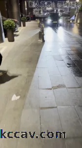 粉丝母狗