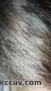 骚大姐认真的吸吮鸡鸡太大一只手握不住