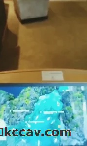 漫展反差lo娘酒店爬行口交