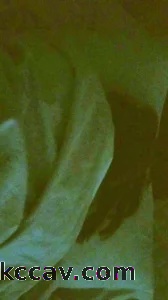 喜欢被后入的女友，一加速就哼哼唧唧，于是疯狂加速暴操