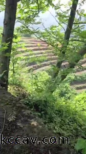 野战就是刺激