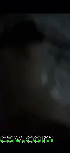 后入小母狗