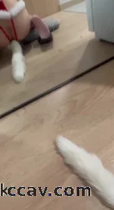 骚母狗最爱吃大鸡巴了～
