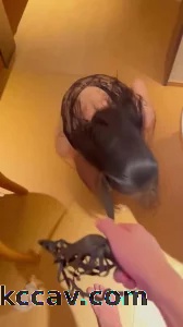 母狗