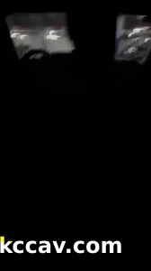 跟我的狗狗在车里震