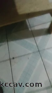 一起玩吧。