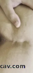 大屁股上位