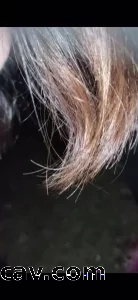 汾湖少妇口交