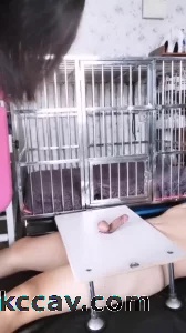 两双高跟踩踩鸡鞋交