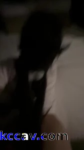 墨尔本小母狗