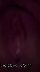 骚逼