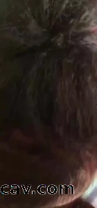 老婊子