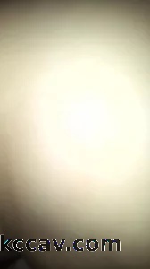 嘉兴调教情侣奴让母狗插公狗屁眼